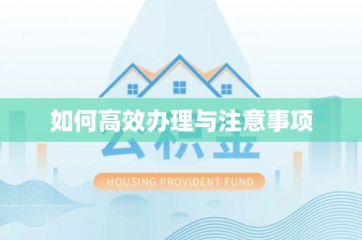龙凤如何高效办理与注意事项
