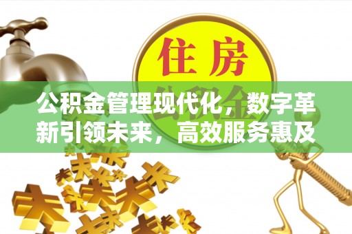 龙凤公积金管理现代化，数字革新引领未来，高效服务惠及民生
