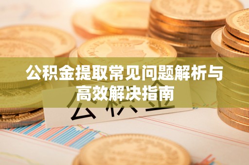 龙凤公积金提取常见问题解析与高效解决指南