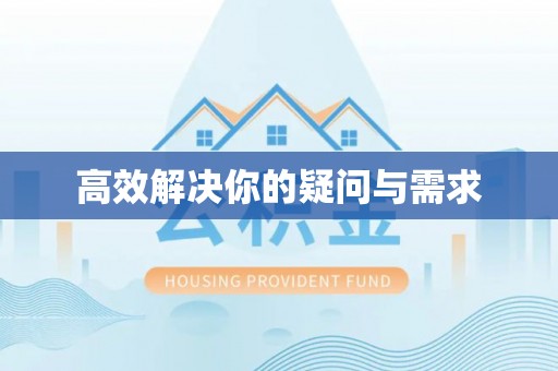 龙凤高效解决你的疑问与需求