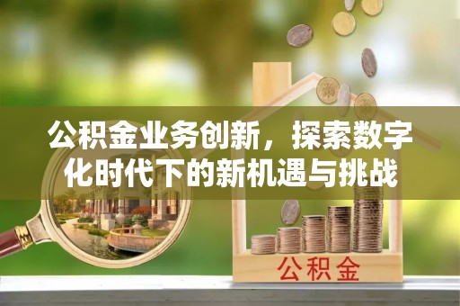 龙凤公积金业务创新，探索数字化时代下的新机遇与挑战