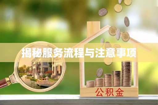 龙凤揭秘服务流程与注意事项