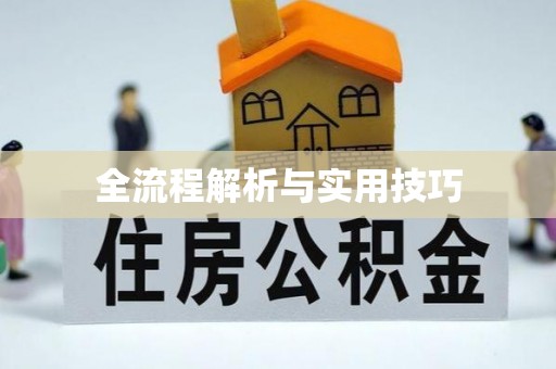 龙凤全流程解析与实用技巧