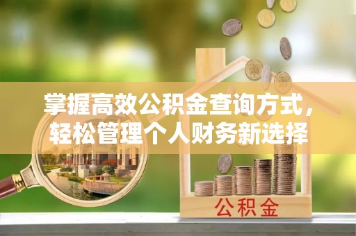 龙凤掌握高效公积金查询方式，轻松管理个人财务新选择