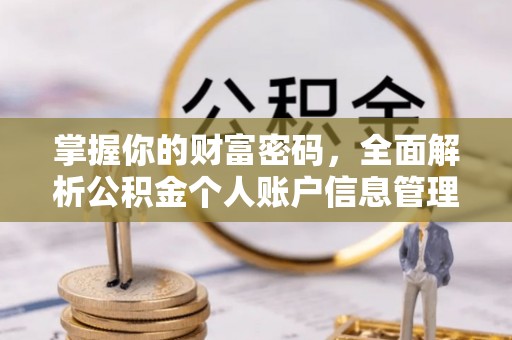 龙凤掌握你的财富密码，全面解析公积金个人账户信息管理