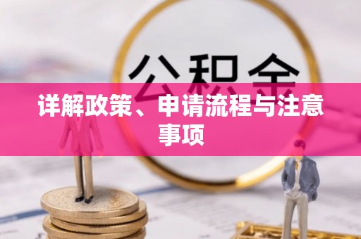 龙凤详解政策、申请流程与注意事项